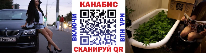Марихуана семена  Купить  Тихвин 